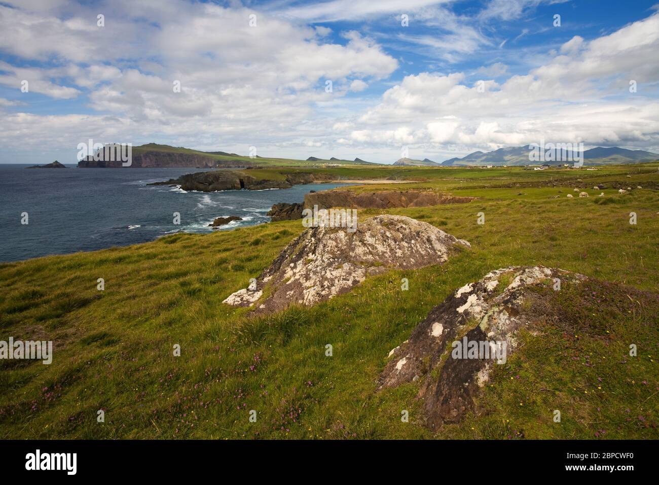 Clogher Head, Dingle Peninsula, County Kerry, Ireland Stock Photo