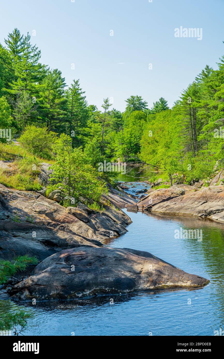 Victoria Falls Conservation Area  showing main falls area, two tone textured rocks and green forest on a sunny summer gorgeous day Stock Photo