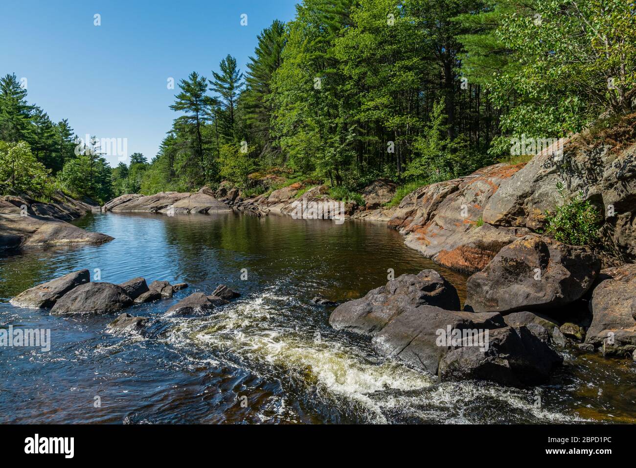 Victoria Falls Conservation Area  showing main falls area, two tone textured rocks and green forest on a sunny summer gorgeous day Stock Photo