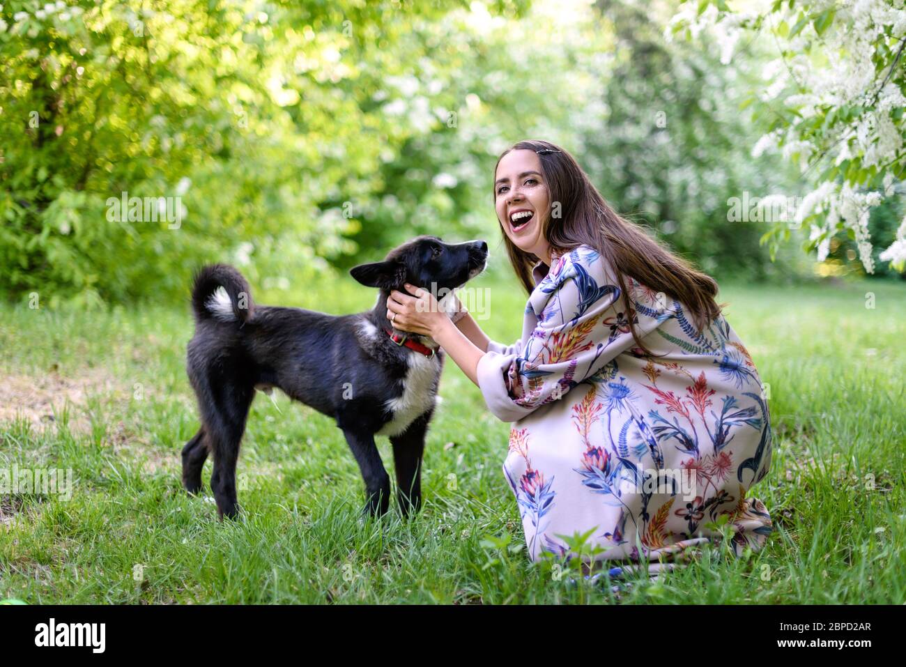 Beautiful happy woman with black dog on fresh green meadow and forest. She is hugging him Stock Photo