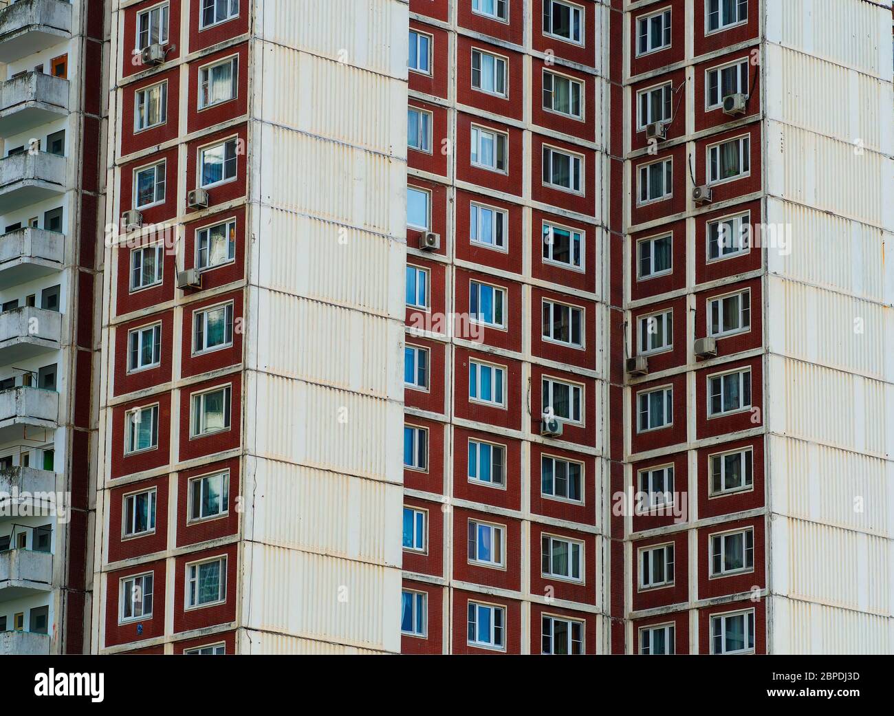 Lesbian uysiz rasmlar