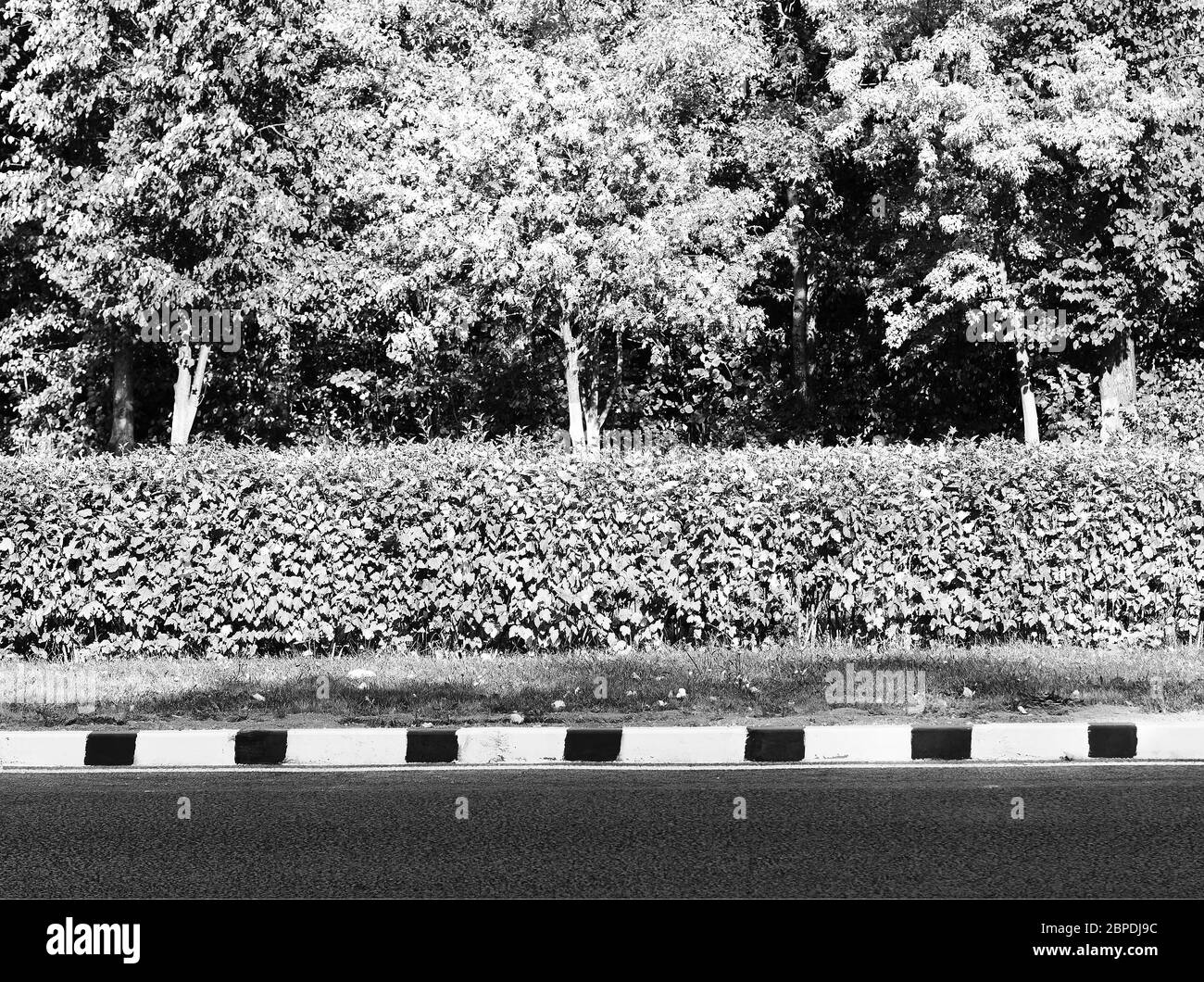 Black and white road border in park zone background Stock Photo