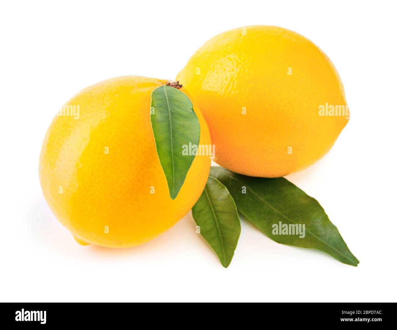 Pair of fresh juicy lemons with green leaves isolated on white ...