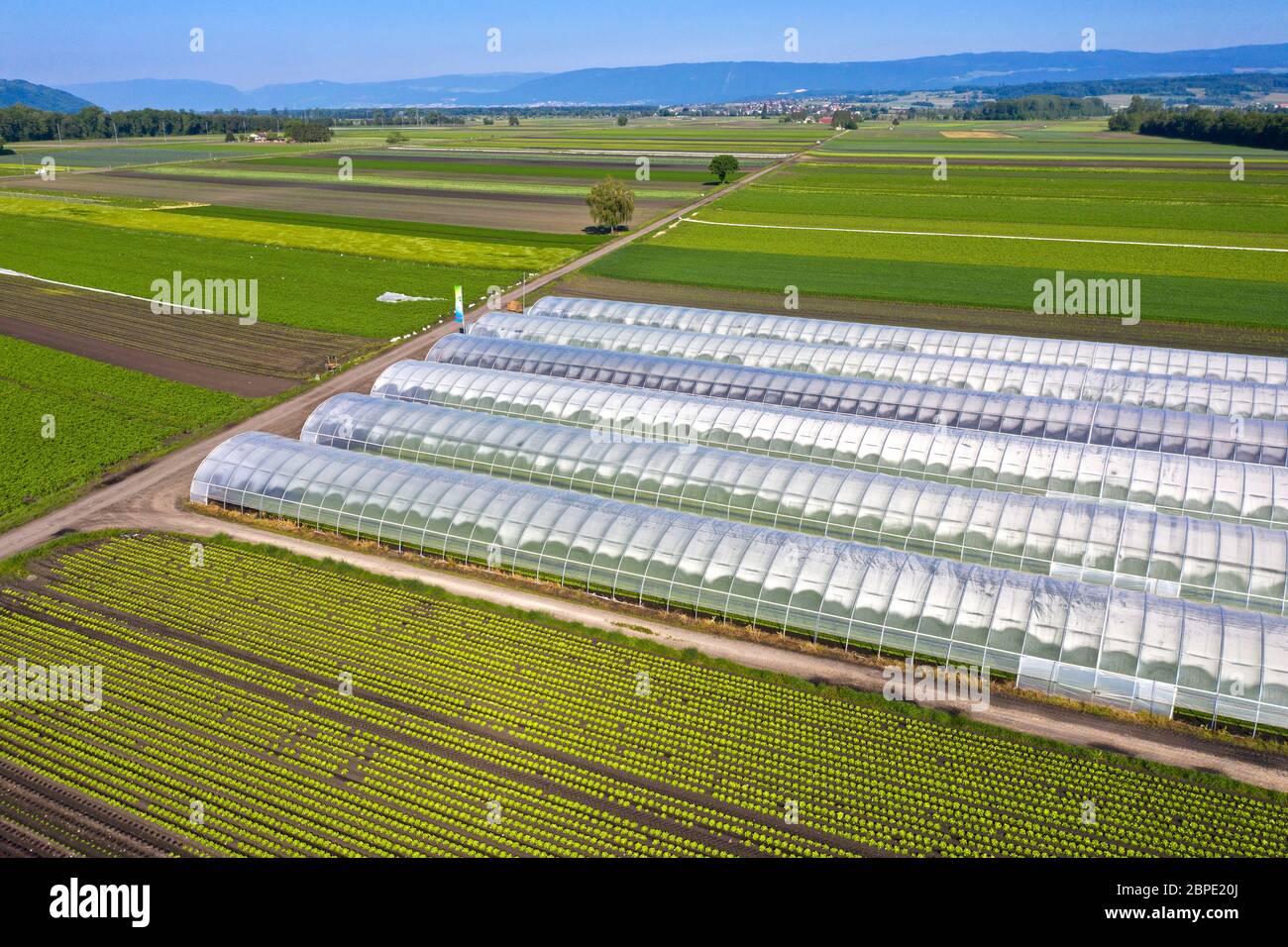 Greenhouses and cropland for the cultivation of vegetables in the vegetable growing area Seeland - Grosses Moos, Kerzers, Switzerland Stock Photo