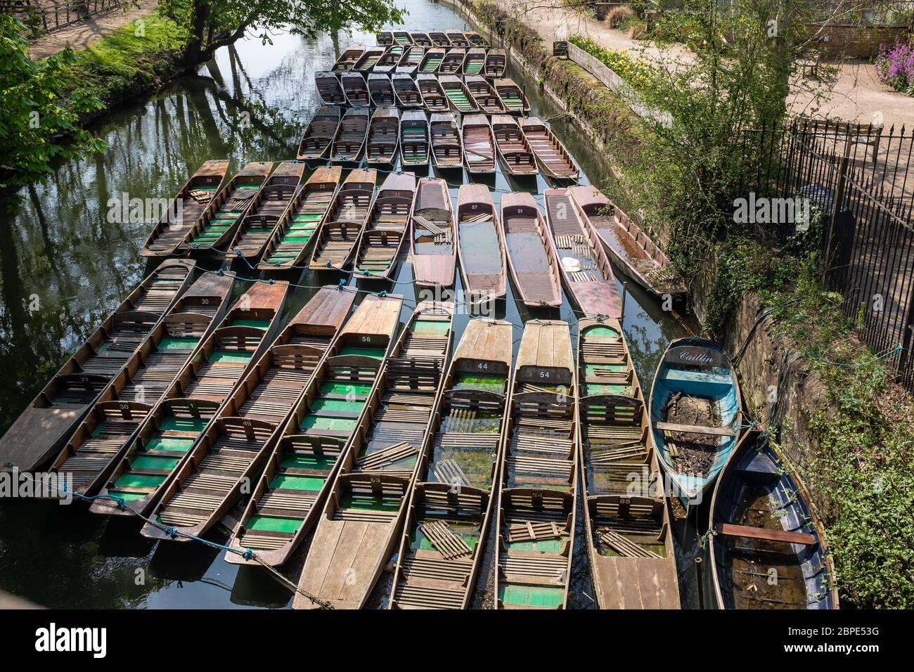 Punts on the River Cherwell, Oxford, Tied up together and unused during Covid-19 Stock Photo