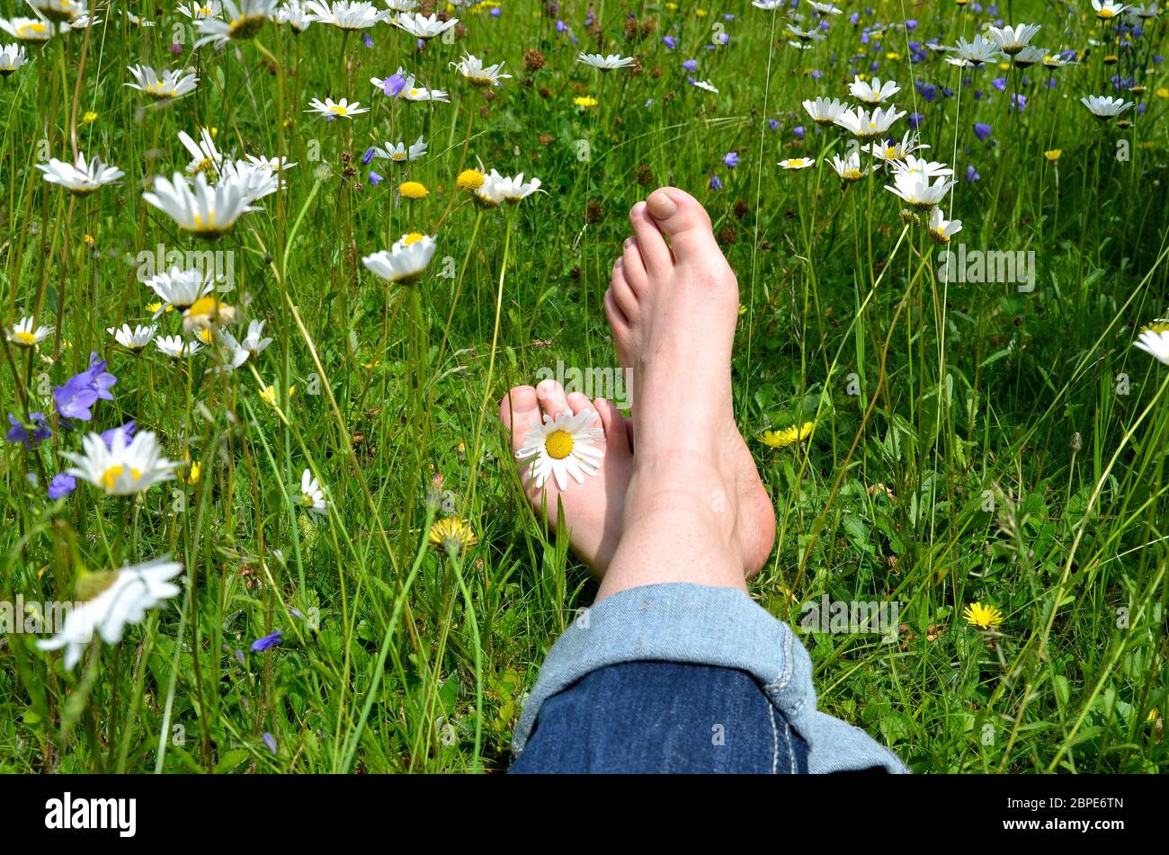 Füße in Blumenwiese Stock Photo