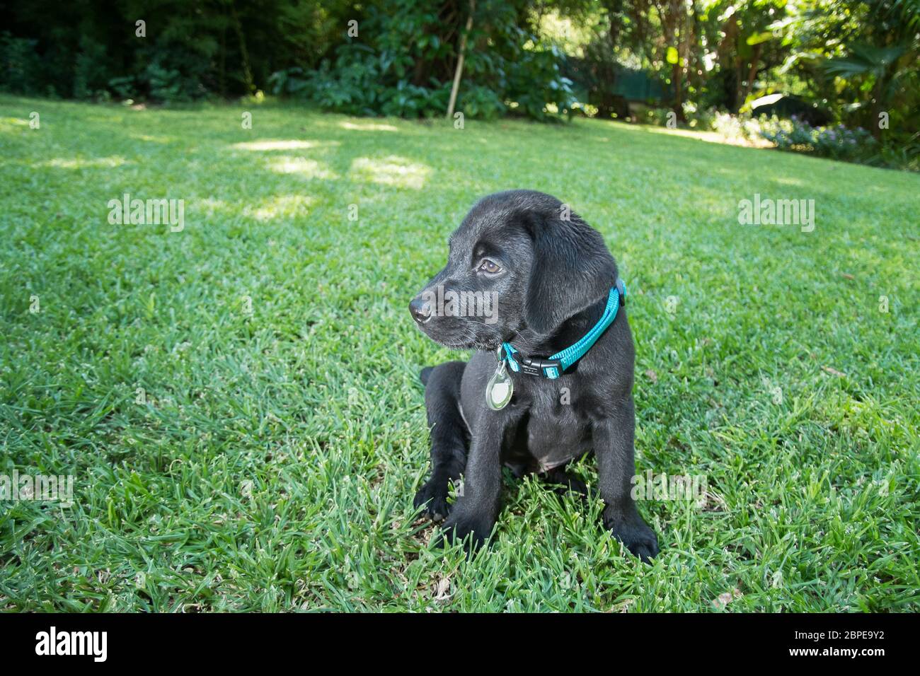 Photo inspiration: Visual Reference: Lawn Bowls Family Hi Res Stock Photography And Images