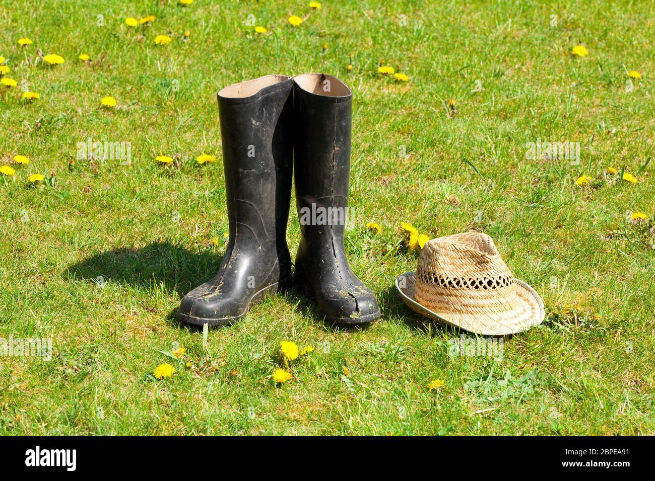 Gummistiefel mit Stroh auf Gras Hintergrund. Stock Photo