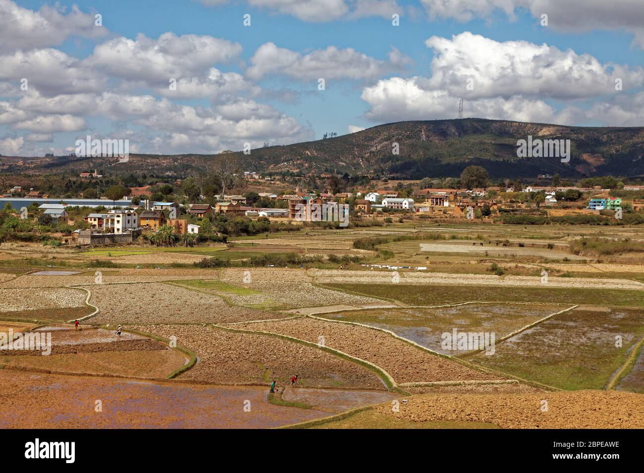 Landschaft bei Ambositra Stock Photo