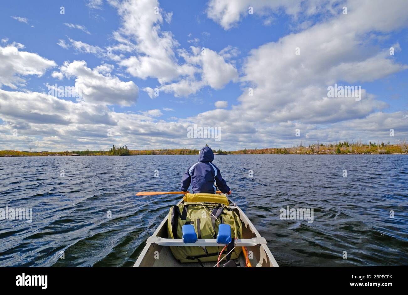 Canoer on Seagull Lake in the Boundary Waters in Fall Stock Photo