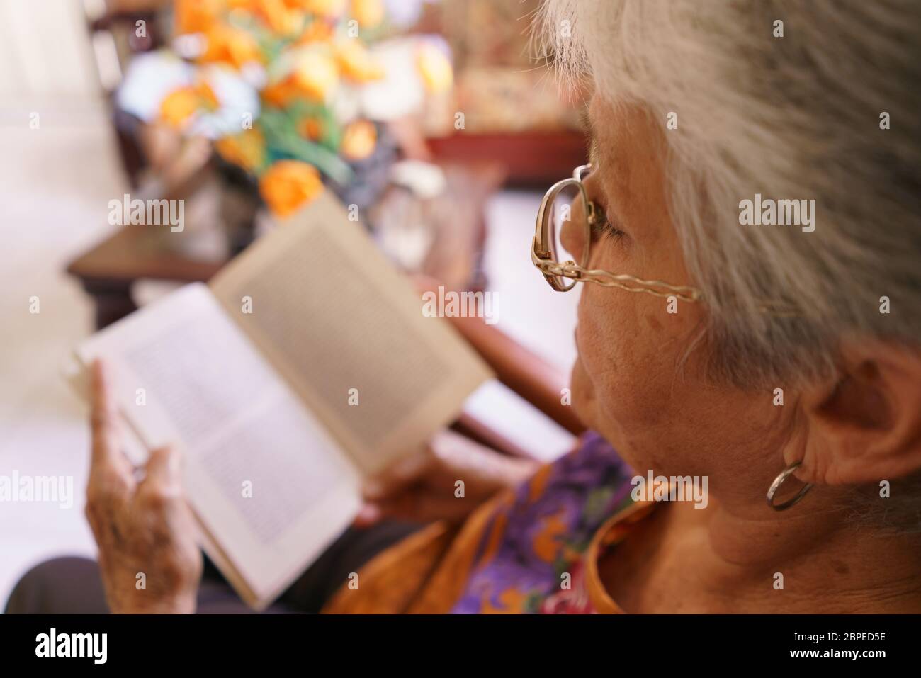 Old people in geriatric hospice: senior woman with eyeglasses and miopia problems sitting on chair and reading a book. Stock Photo