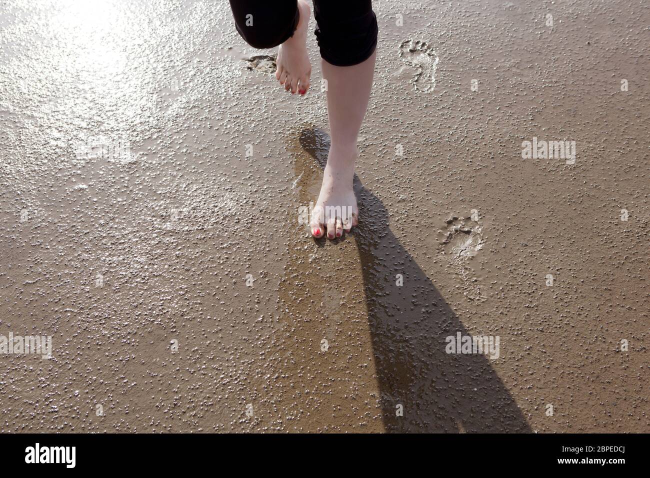 eine Urlauberin geht im Wattenmeer an der Nordseeküste spazieren Stock Photo