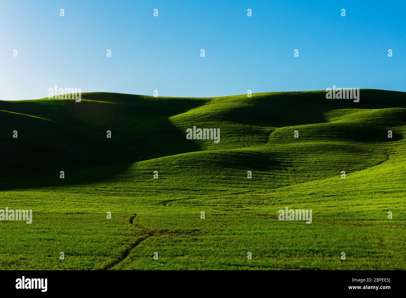 Grüne Wiese Hügel mit schattigen Senken in der Toskana Stock Photo