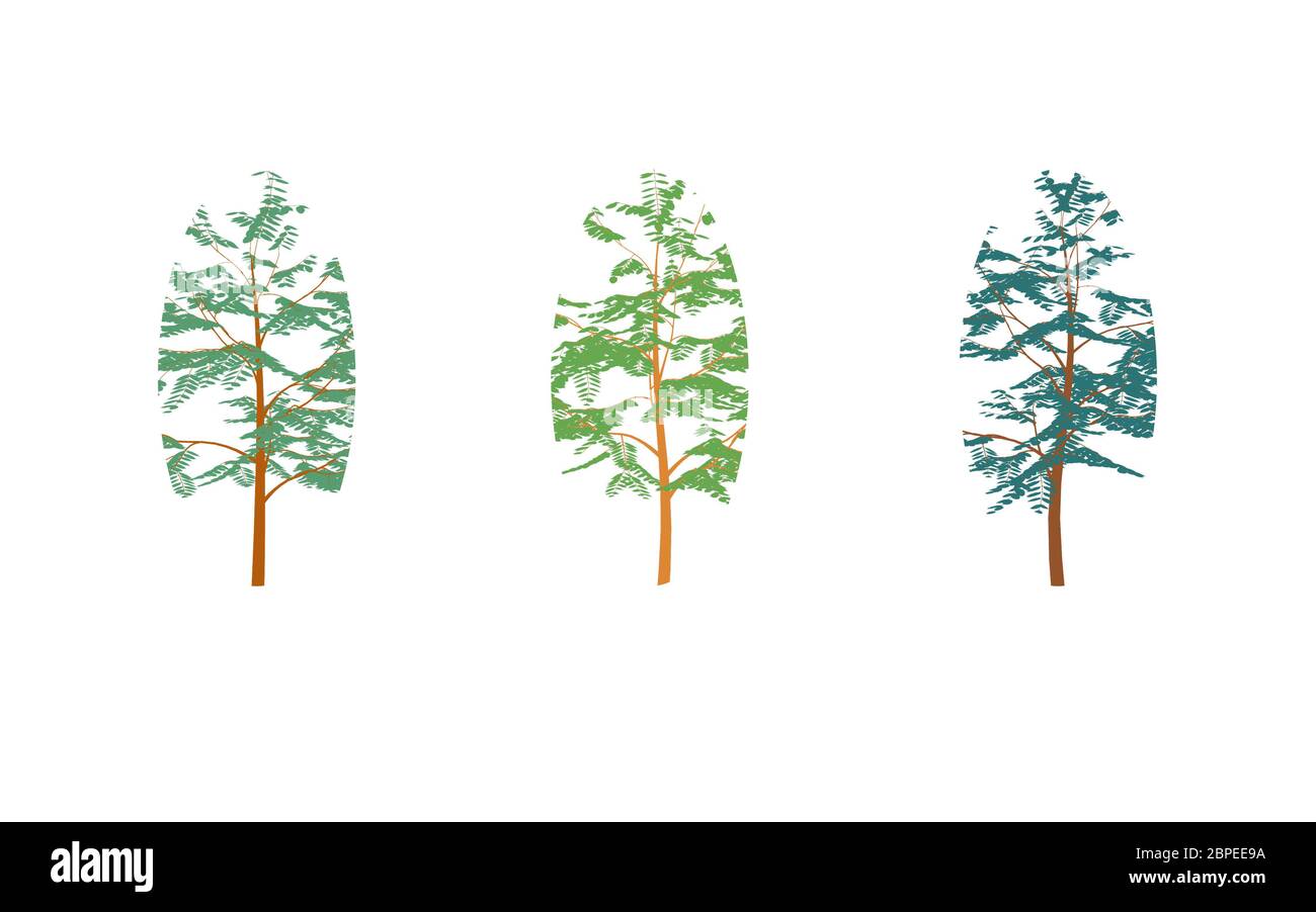 Different colored trees in flat design.Set isolated on white Stock ...