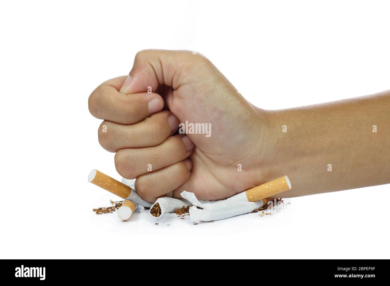 can you buy cigarettes in a different state How Much Do Cigarettes Cost in 2026? State-by-State Price Guide can you buy cigarettes in a different state How Much Do Cigarettes Cost in 2026? State-by-State Price Guide
