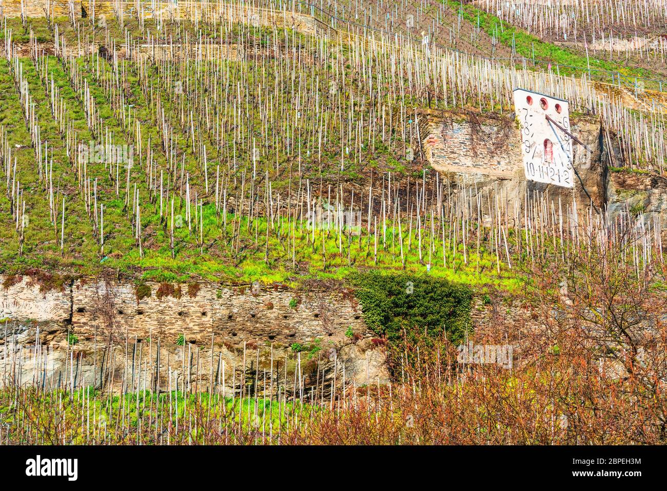 Wehlener Sonnenuhr in dem Weinbauort Wehlen an der Mosel in Deutschland bezeichnet eine deutsche Weinlage. Stock Photo