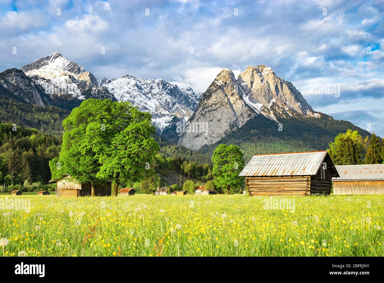 Beautiful Alpine spring rural landscape with flowering valley meadow and morning sunlight mountaiins Stock Photo