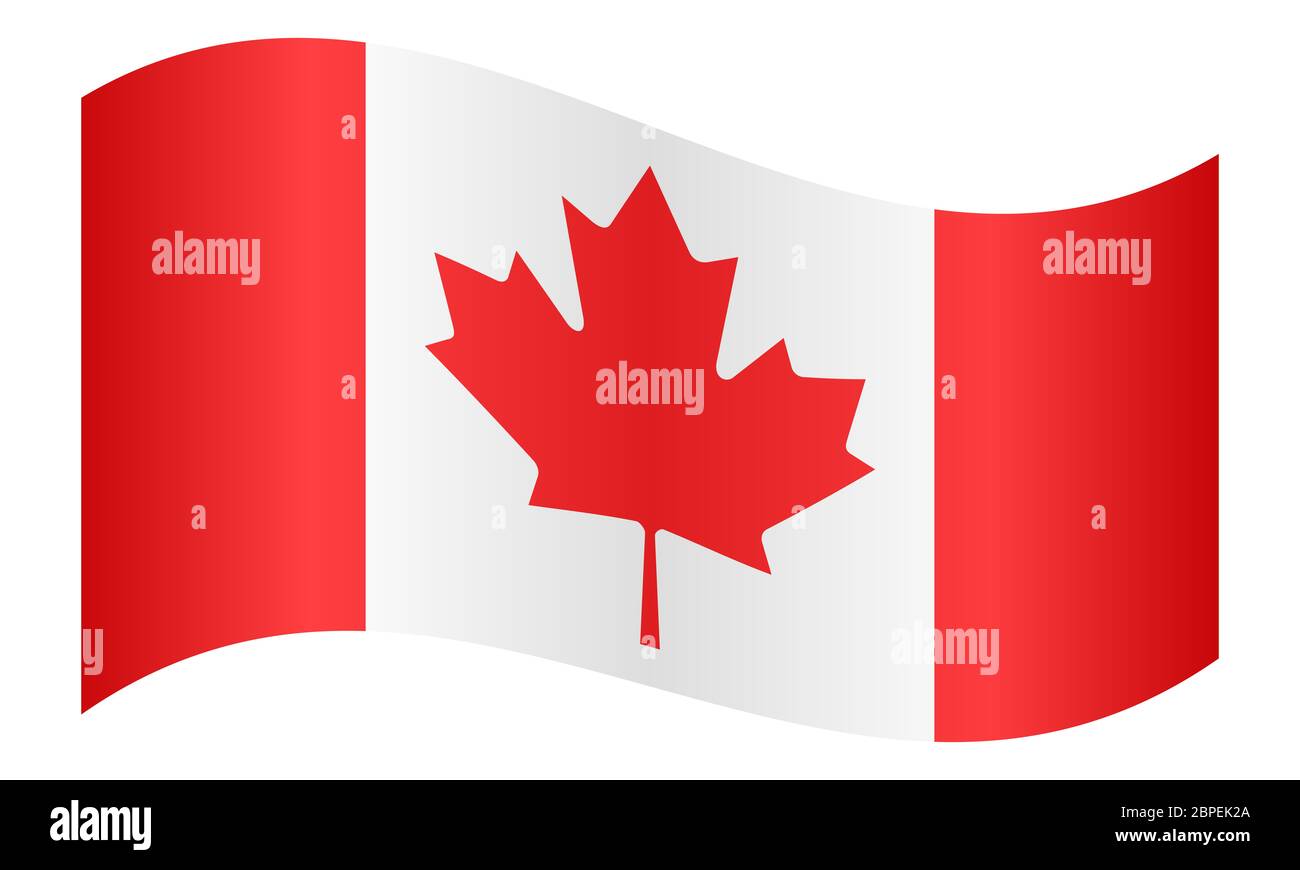Flag of Canada waving on white background Stock Photo Alamy