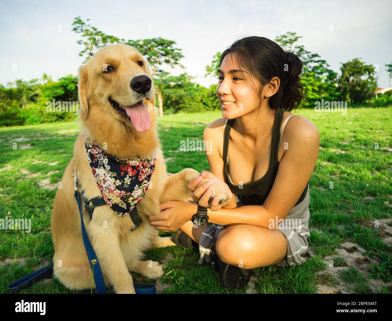 Golden retriever and Asian woman are playing in the park Stock Photo ...