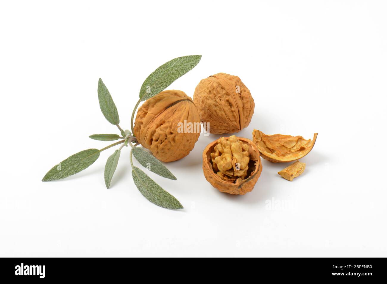 Walnut Sprig walnuts and sprig of fresh sage on white background Stock Photo - Alamy