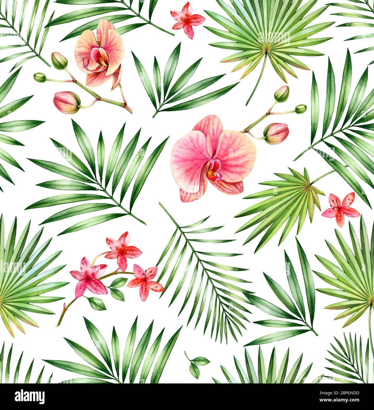 Watercolor tropical seamless pattern. Pink orchid flowers and palm leaves isolated on white. Botanical hand drawn floral background for surface Stock Photo