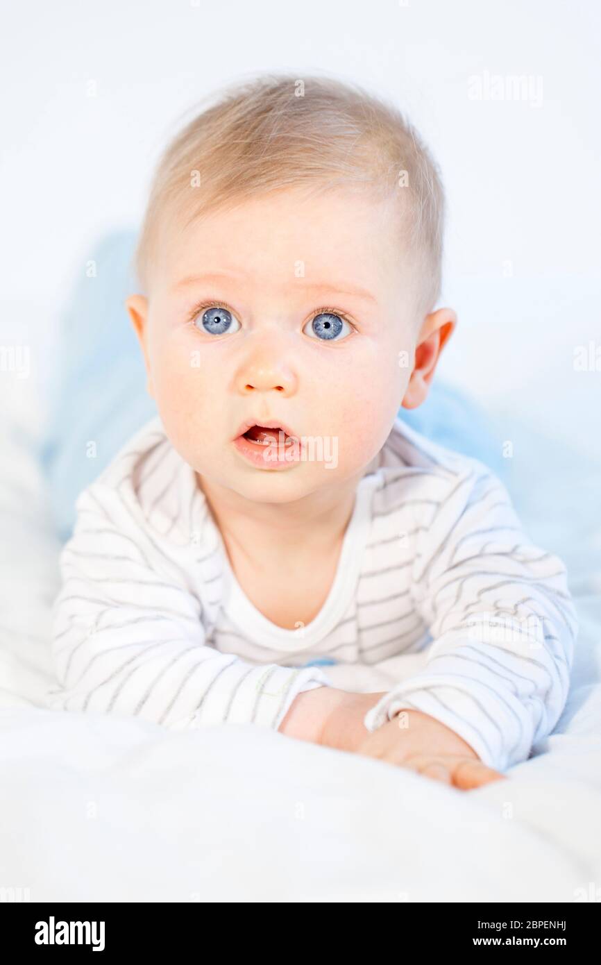 Kriechen High Resolution Stock Photography And Images Alamy