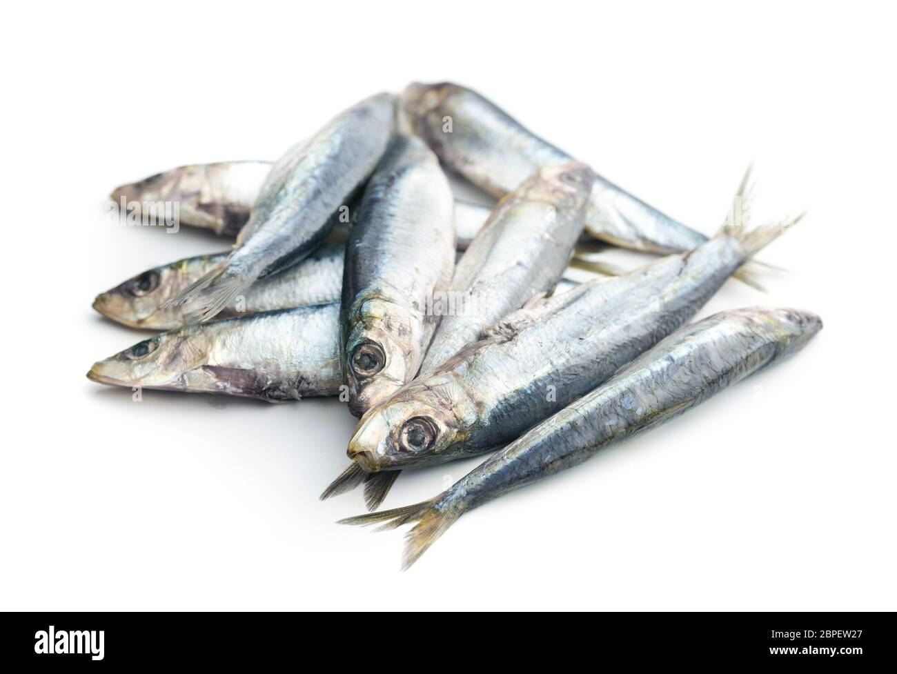 Raw sardines fish isolated on white background Stock Photo Alamy
