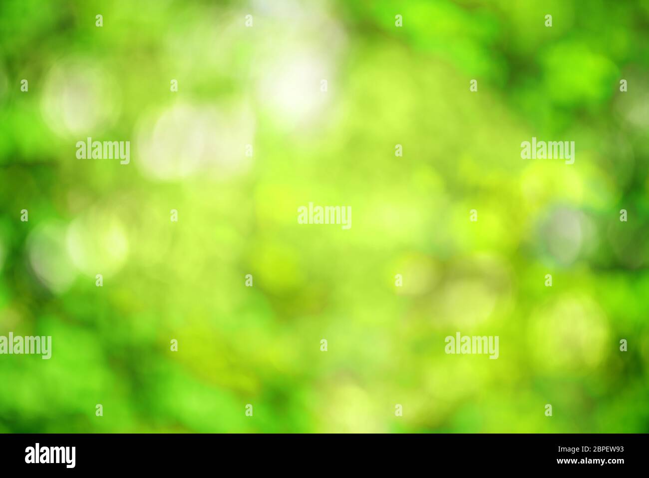 Abstract bright green spring background with tender bokeh for a concept Stock Photo