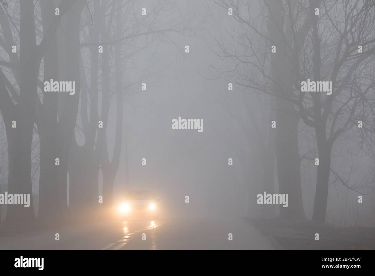 Fog on the road makes car traffic difficult Stock Photo Alamy