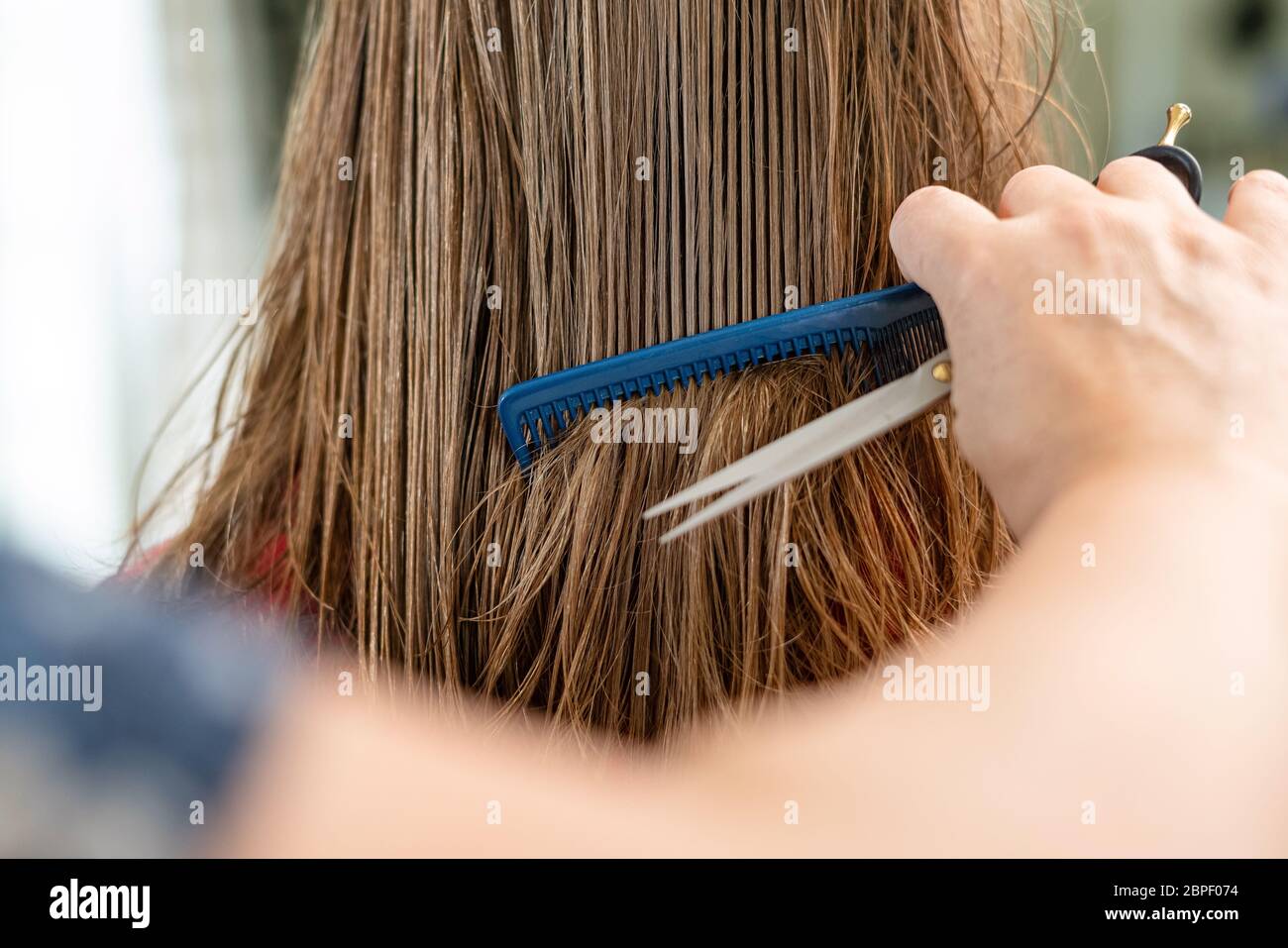 Close up of hairdresser hands cutting brown hair at home