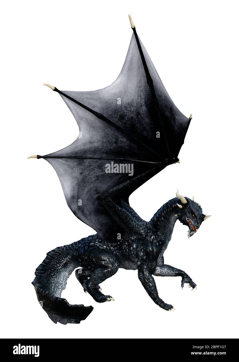 3D rendering of a black fantasy dragon isolated on white background ...