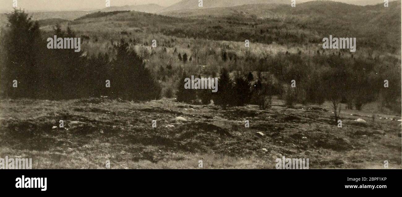 "The mountains about Williamstown" (1913 Stock Photo Alamy