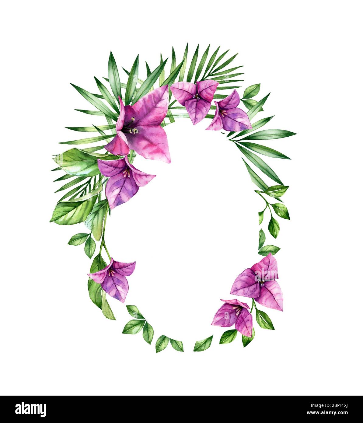 Watercolor floral background. Vertical oval frame and place for text. Purple bougainvillea flowers. Tropical banner template isolated on white for Stock Photo