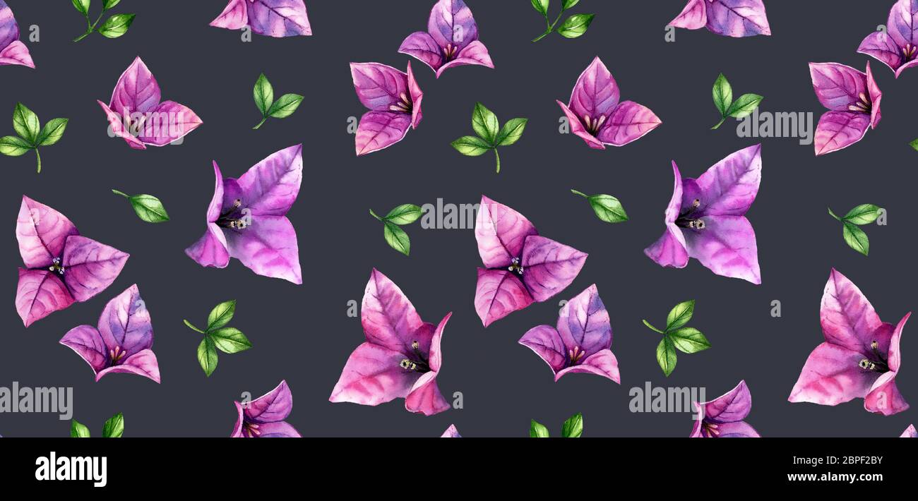 Watercolor floral seamless pattern. Rain of bougainvillea purple flowers on dark grey background. Botanical hand drawn tropical illustration for Stock Photo