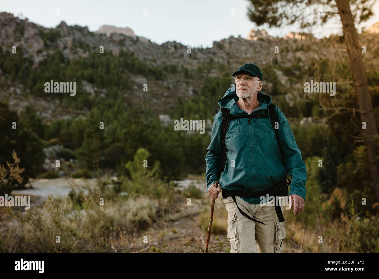 Senior man walking on mountain trail. Confident mature man carrying a backpack hiking in nature. Stock Photo