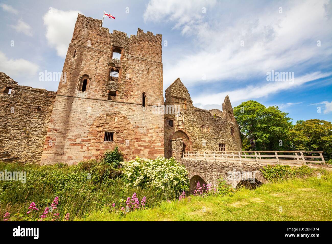 Elizabeth ludlow hi-res stock photography and images - Alamy