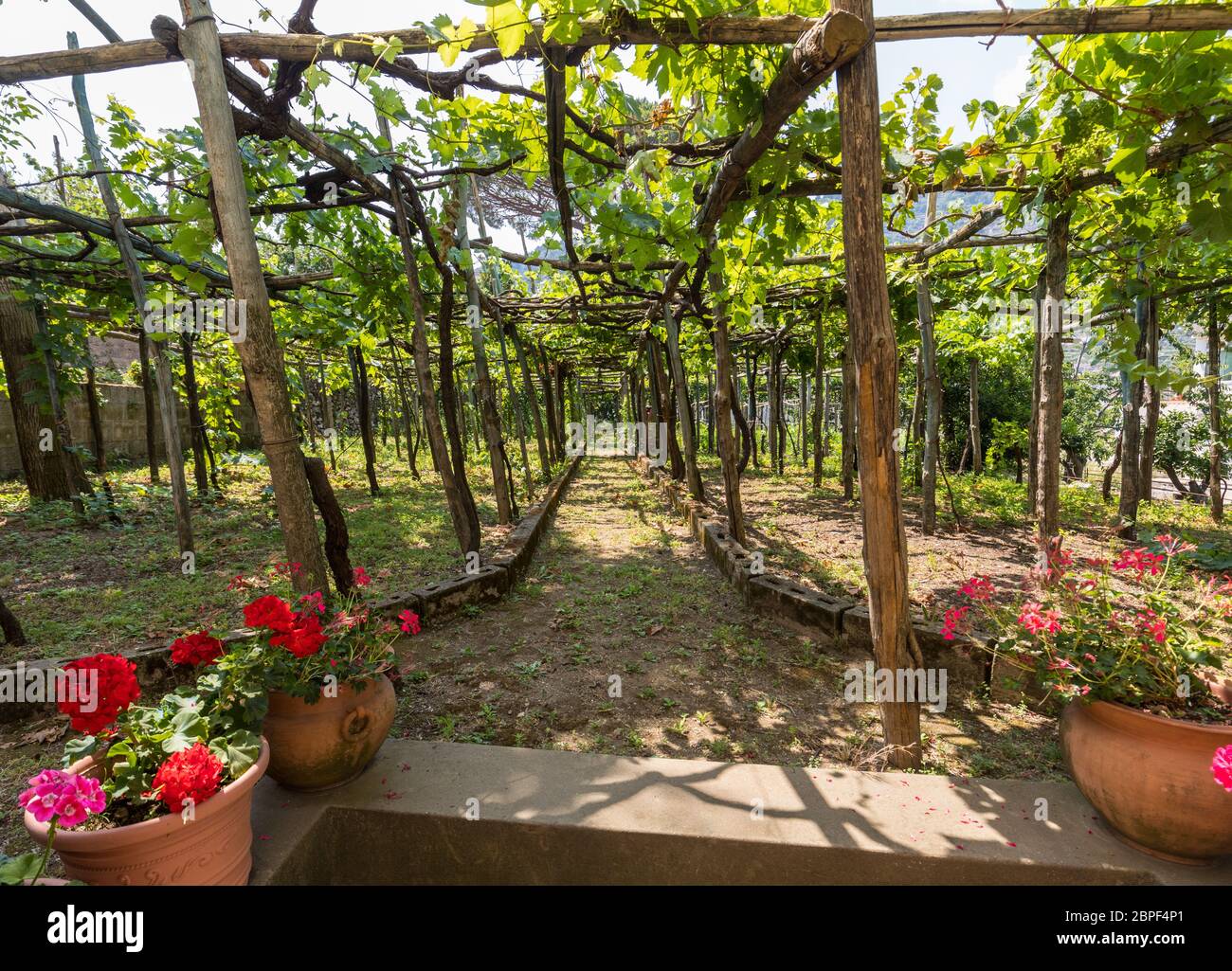 Pergola in the italian garden hi-res stock photography and images - Alamy