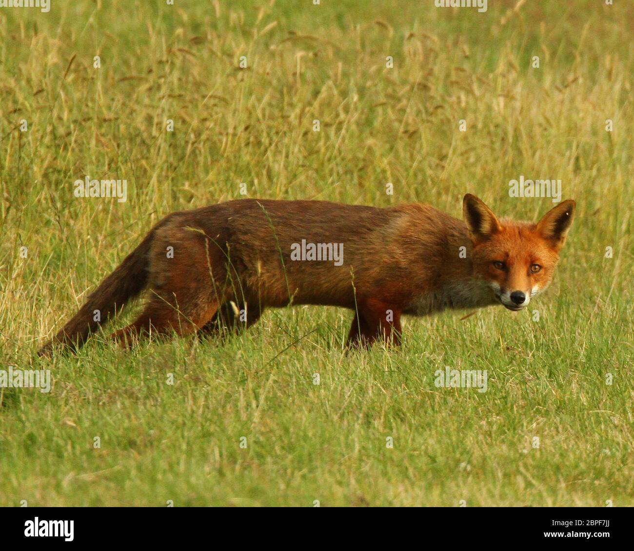 My Image 9
