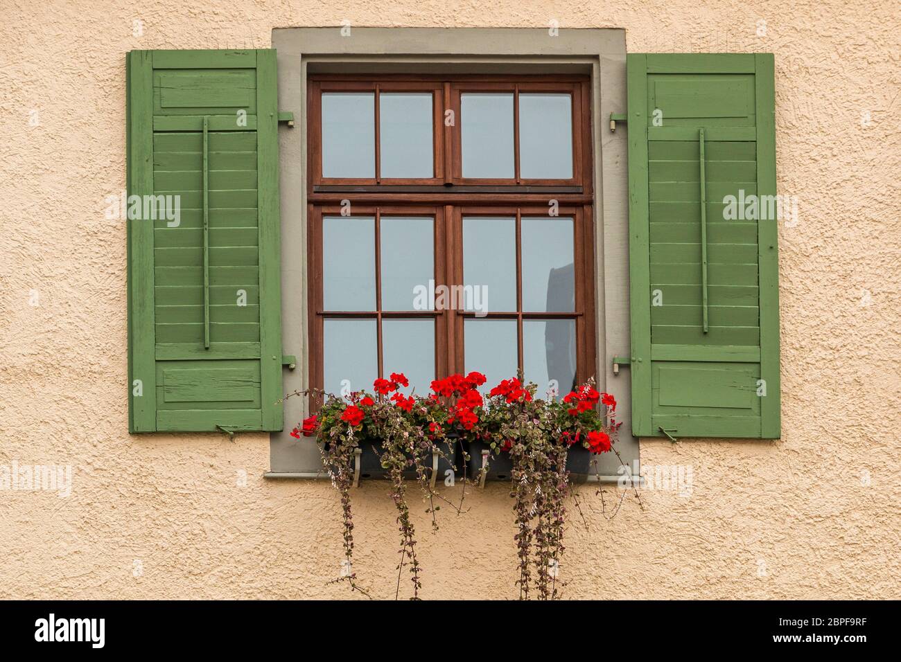 Window with green shutters and a flower box with red flowers Stock