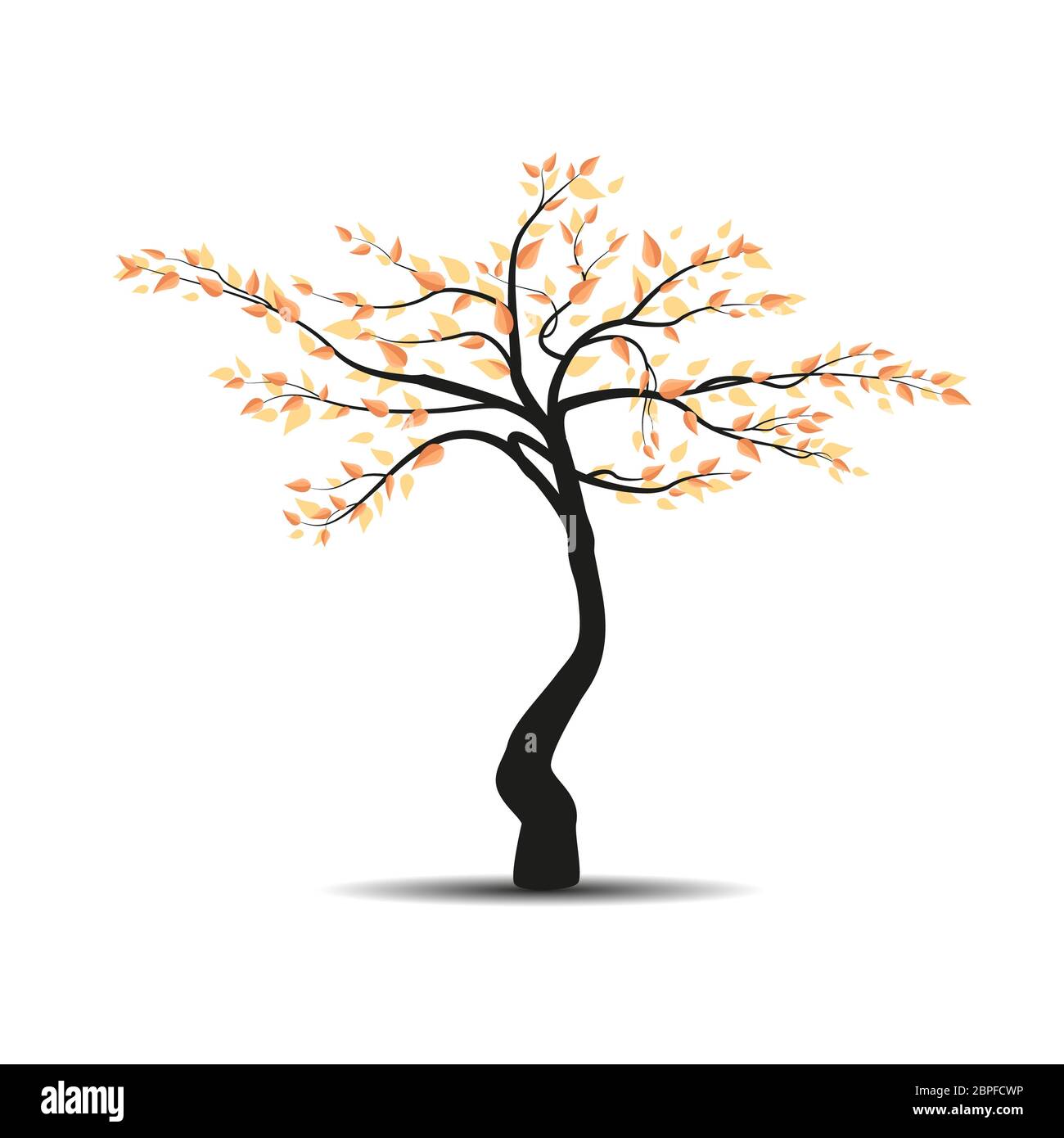 Vector illustration of autumn tree with falling leaves on a white ...