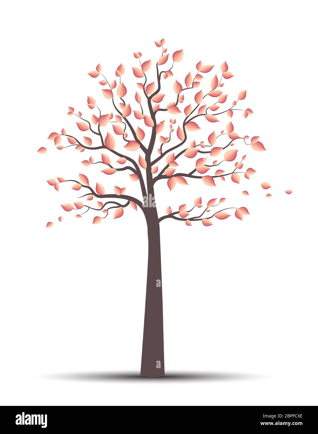 Vector illustration of autumn tree with falling leaves on a white ...