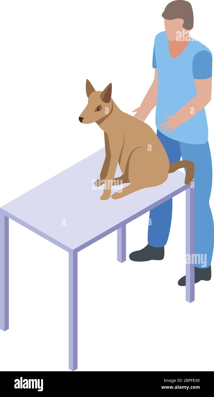 Dog at veterinary table icon, isometric style Stock Vector