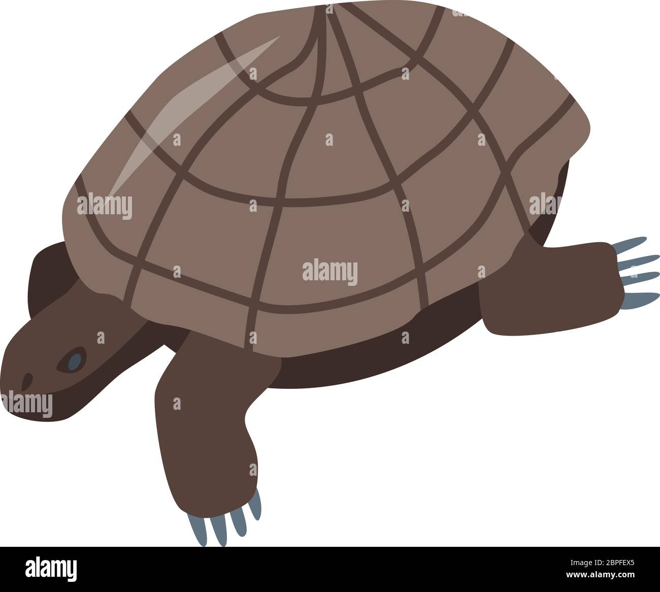 Crawling turtle Stock Vector Images - Alamy