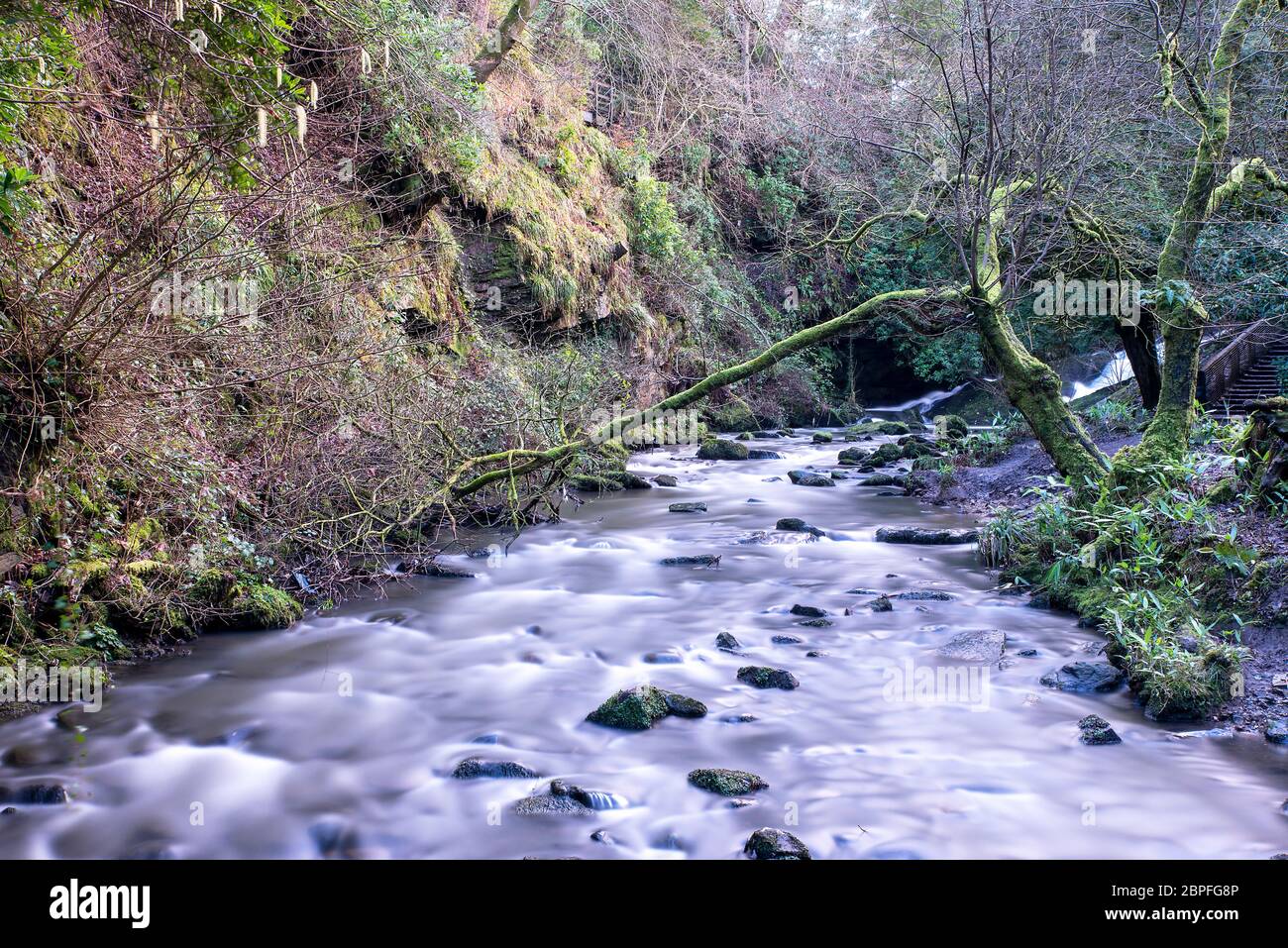 long exposure of a river in Rouken Glen Park, Glasgow, UK Stock Photo