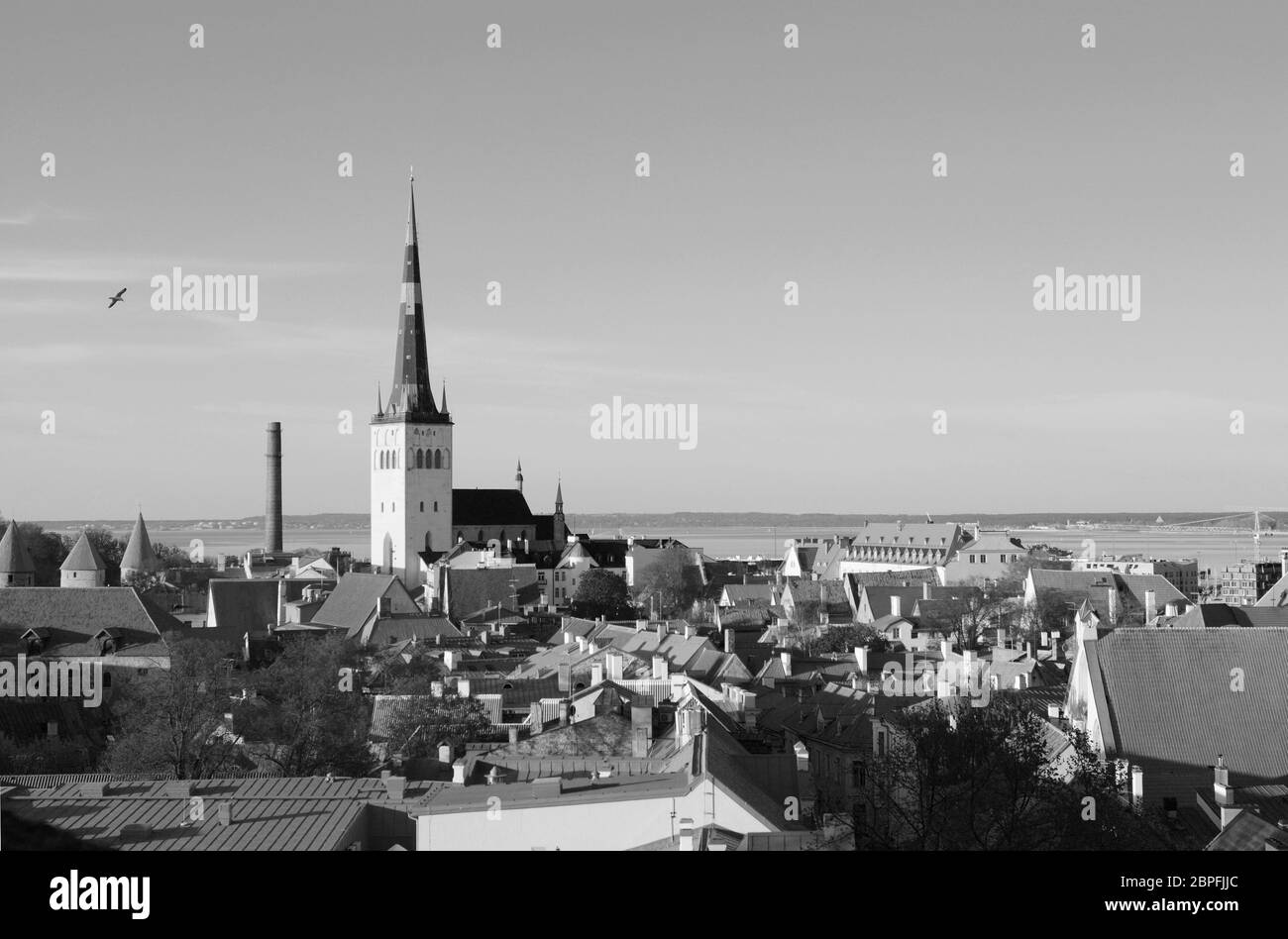 St Olaf's Church tower stands above the tiled roofs of the Old Town of Tallinn, capital city of Estonia. Beyond the cityscape lies Tallinn Bay - monoc Stock Photo