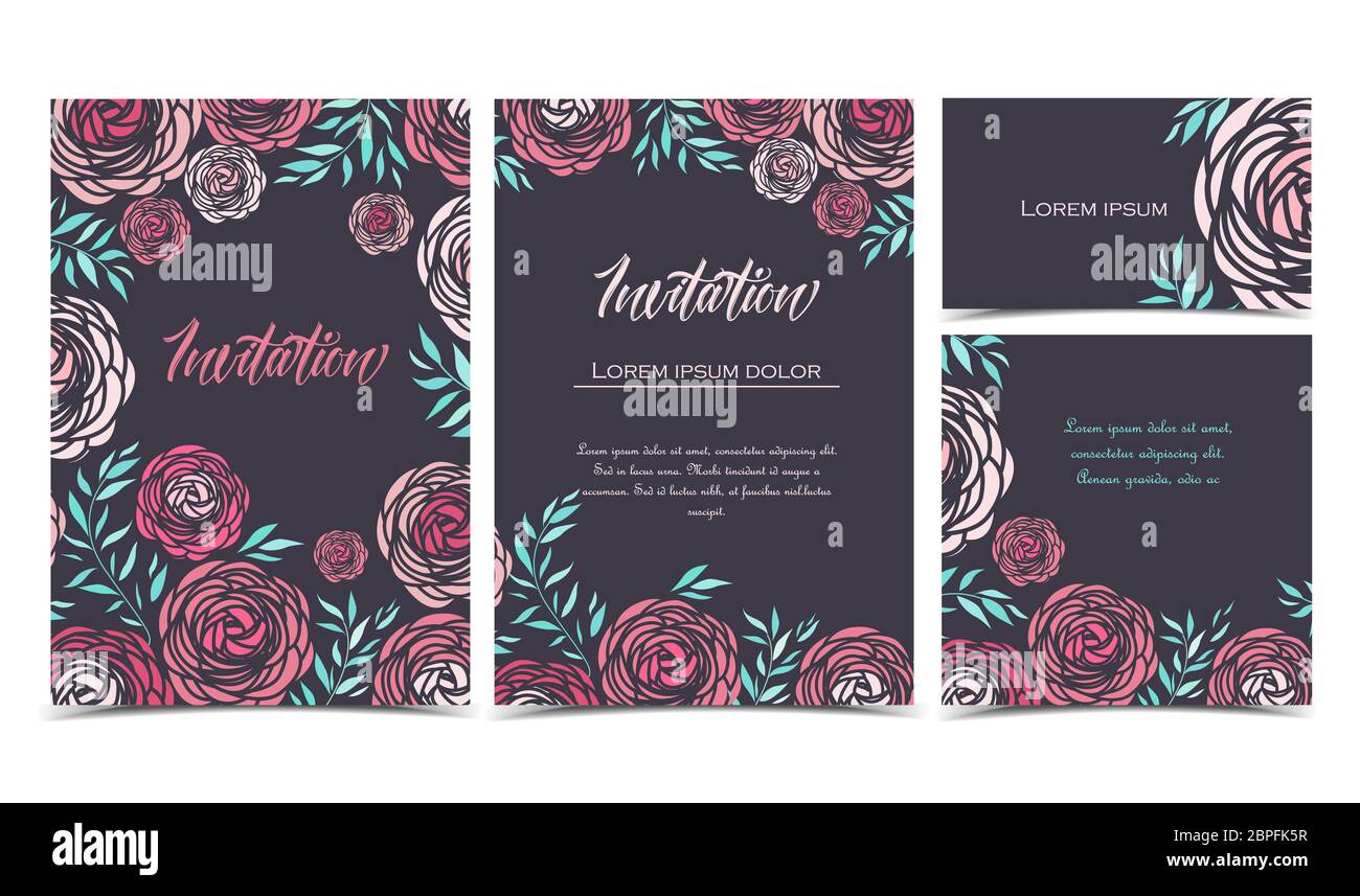 Vector illustration of ranunculus flower. Backgrounds with pink flowers ...