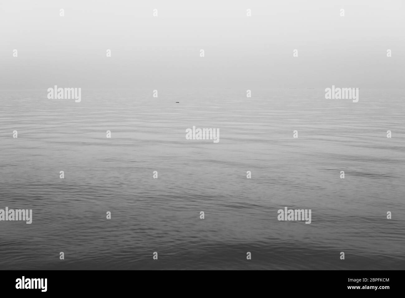 Calm sea with small ripples and pieces of wood floating on a water