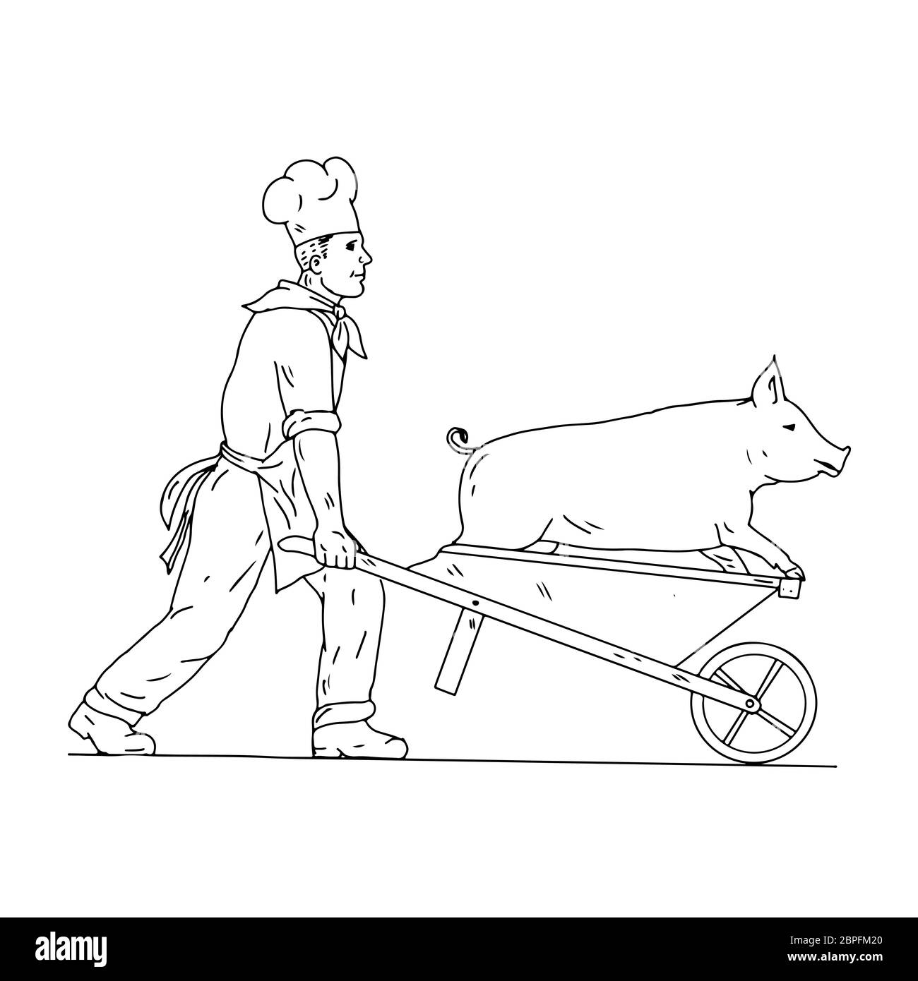 Drawing sketch style illustration of a chef, cook, baker or butcher with wheelbarrow carrying a pig viewed from side on isolated white background in b Stock Photo