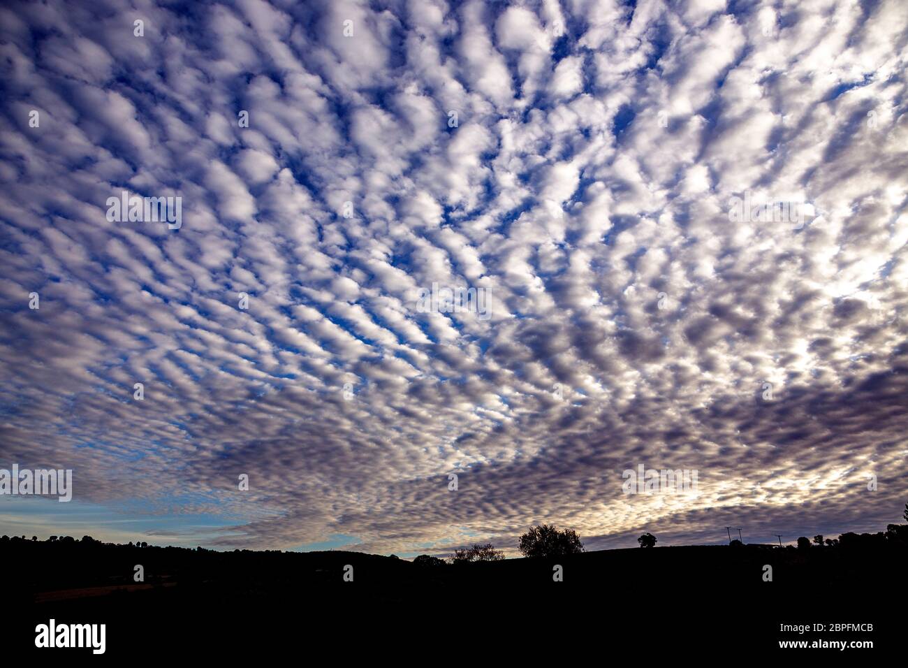 Mackerel sky, Altocumulus, Atmosphere, Backgrounds, Beauty, Blue