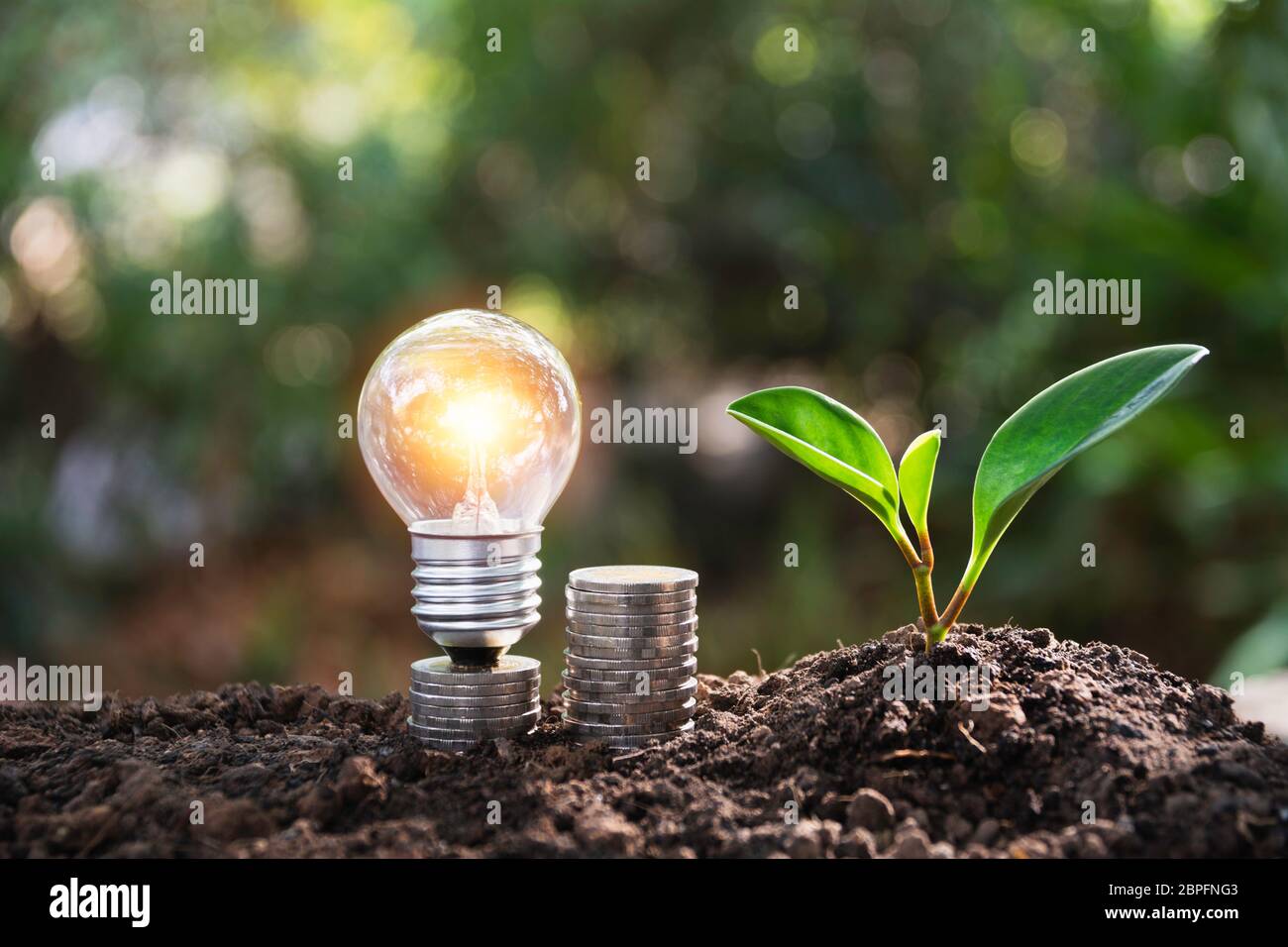 Energy saving light bulb and tree growing on stacks of coins on nature ...
